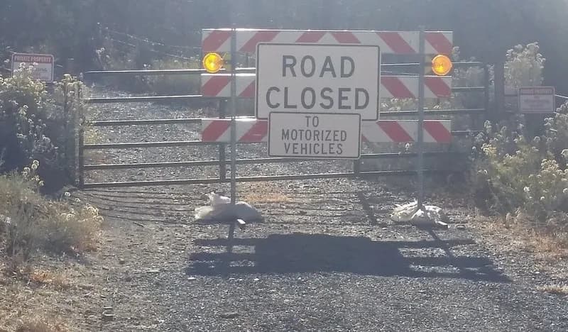 Spring Canyon Road
