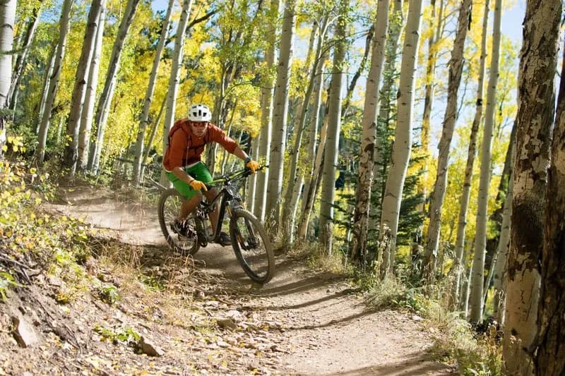 Aspen Alley