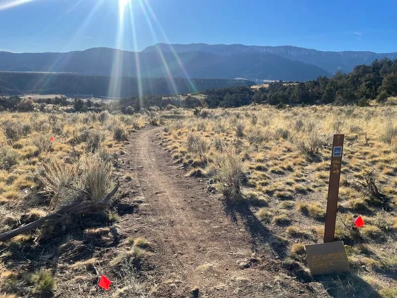 Rewind Ridge