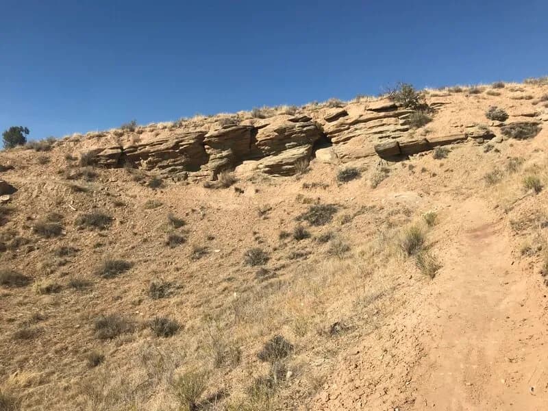 Bonsai Loop view 3