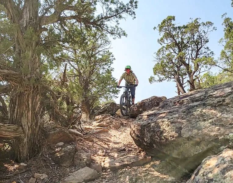 Ewok Loop