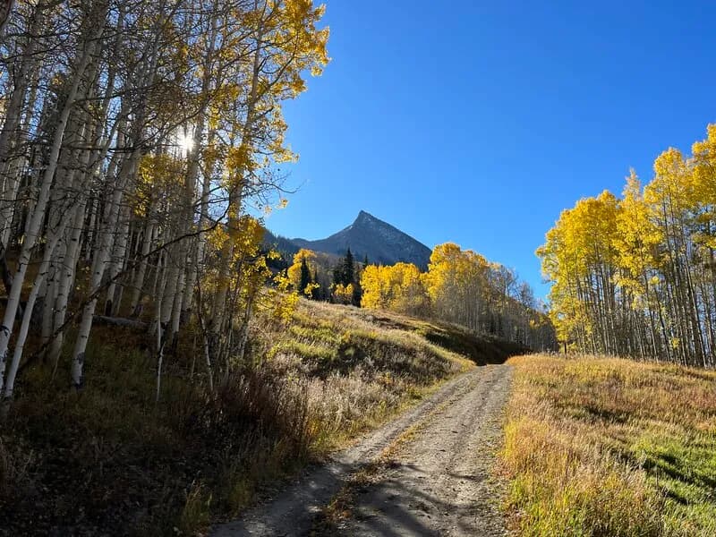 Heading Up The Silver Queen Road In The Fall