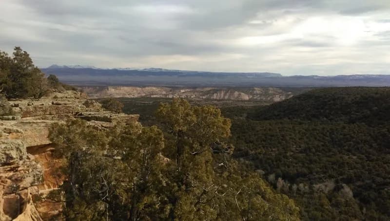 The Fingers Trail