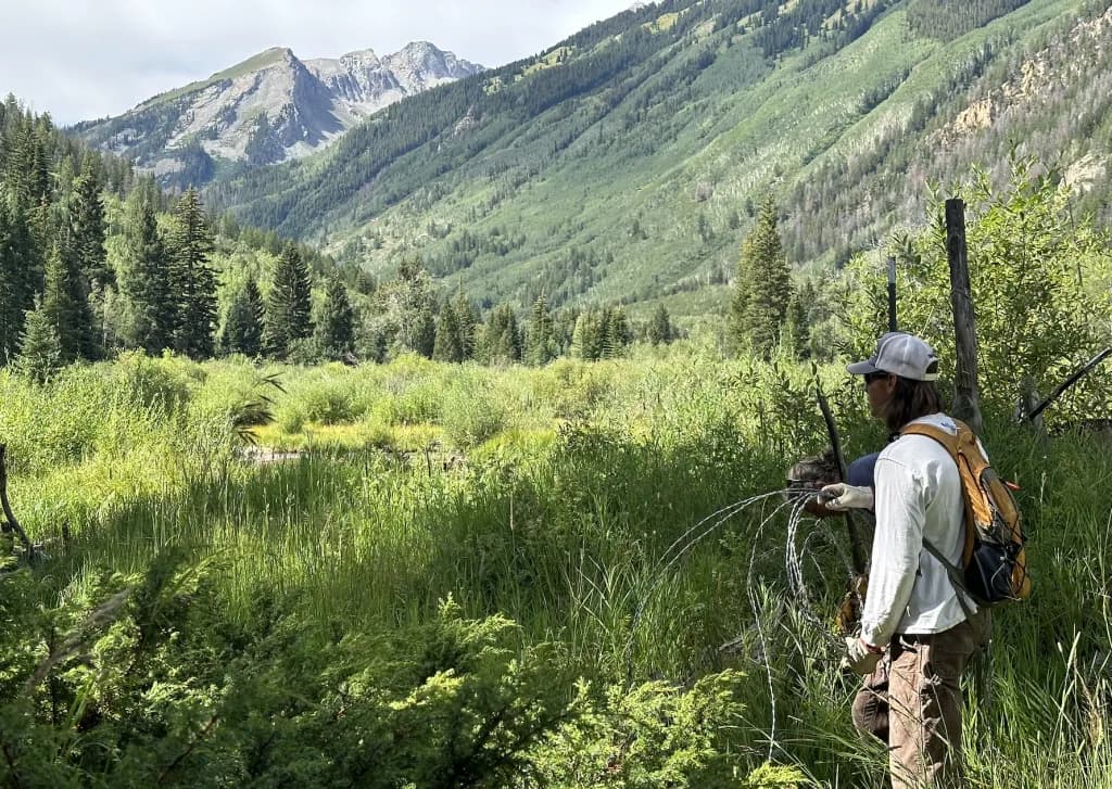 Roaring Fork Outdoor Coalition Spends $132K on Trail Fixes and Weed Control