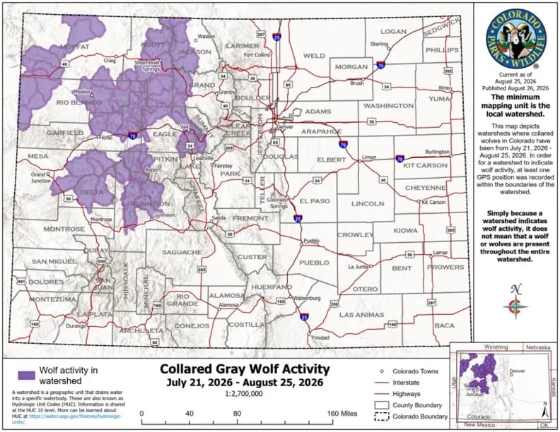 Colorado's 32 Wolves Press Wyoming and Utah Borders