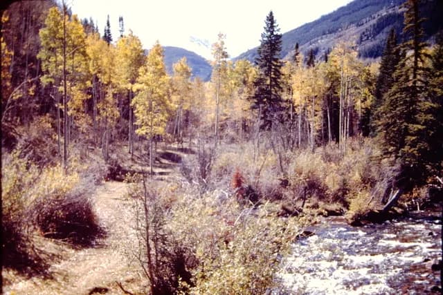 Western Slope Transformed by Population Growth and Development