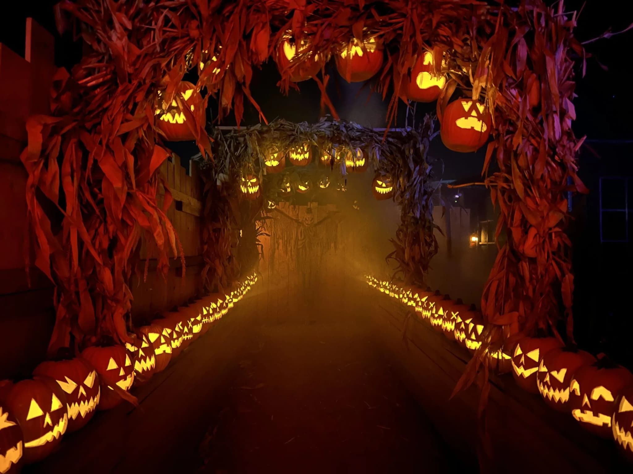 Erie's 25-Year-Old Corn Maze Marks Anniversary With New Horror Lore