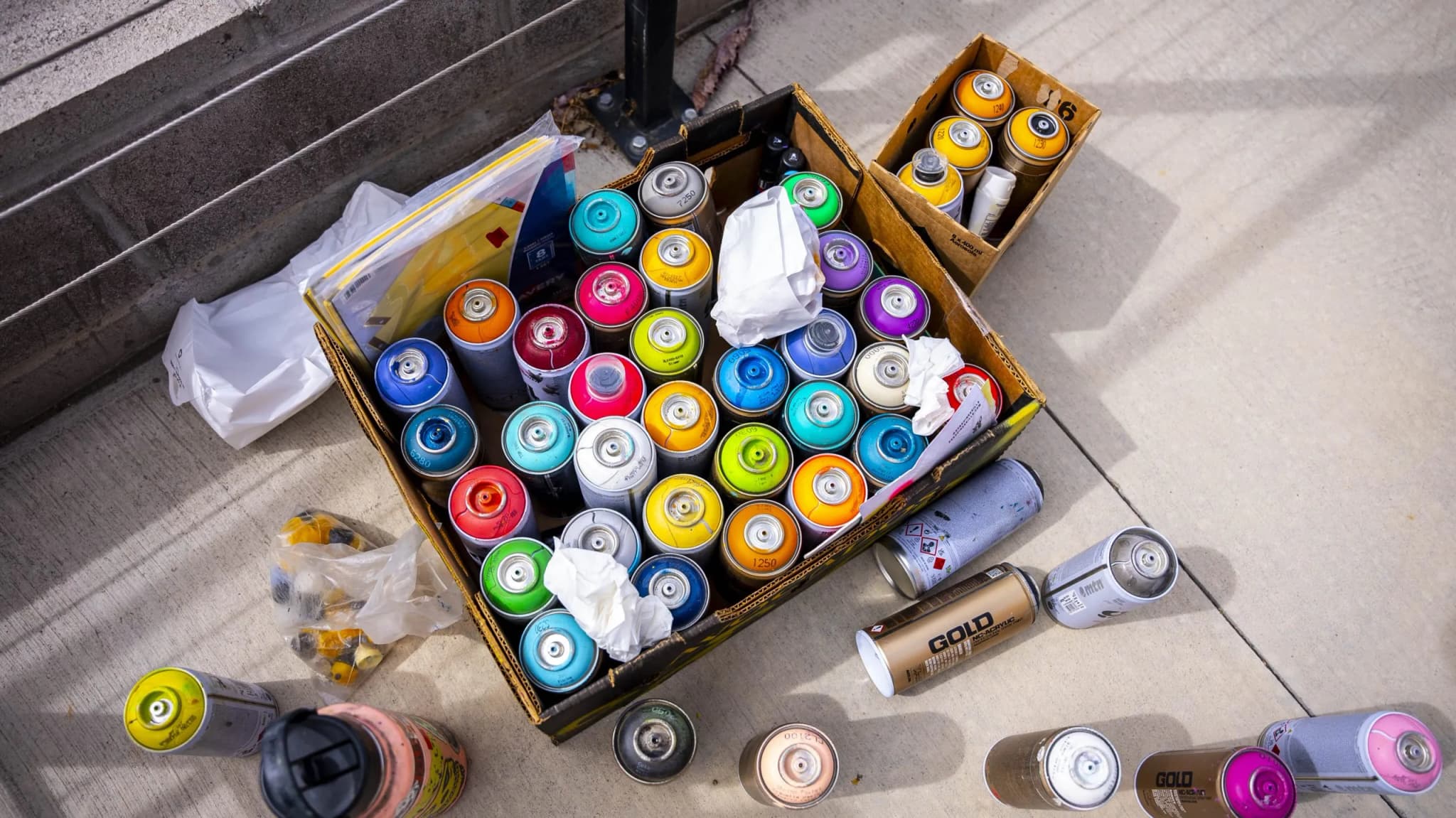 Aurora's Colfax Canvas Mural Festival Replaces Blight With Color