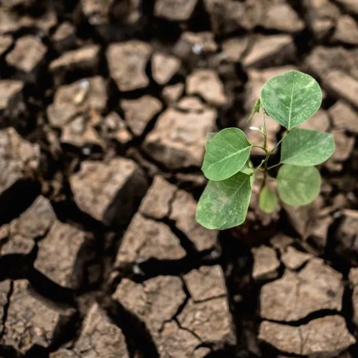 Protecting Our Resources: Navigating Drought and Saving Water