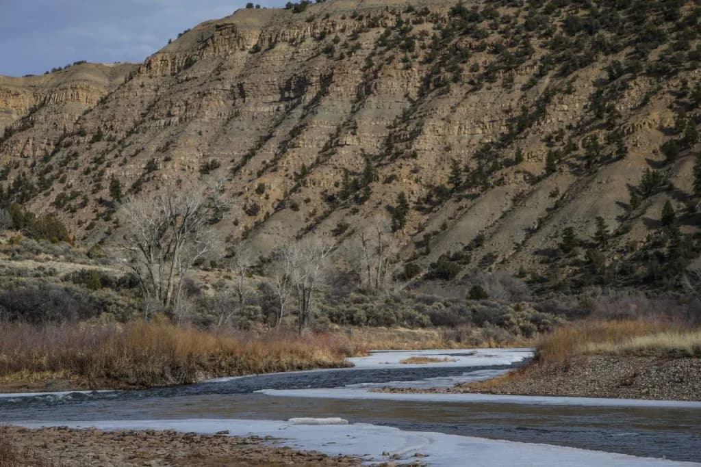 Colorado River Faces Historic Lows in Water Flow