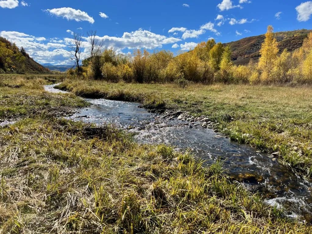 Yampa River Fund Allocates $160,000 to Six Targeted Restoration Projects