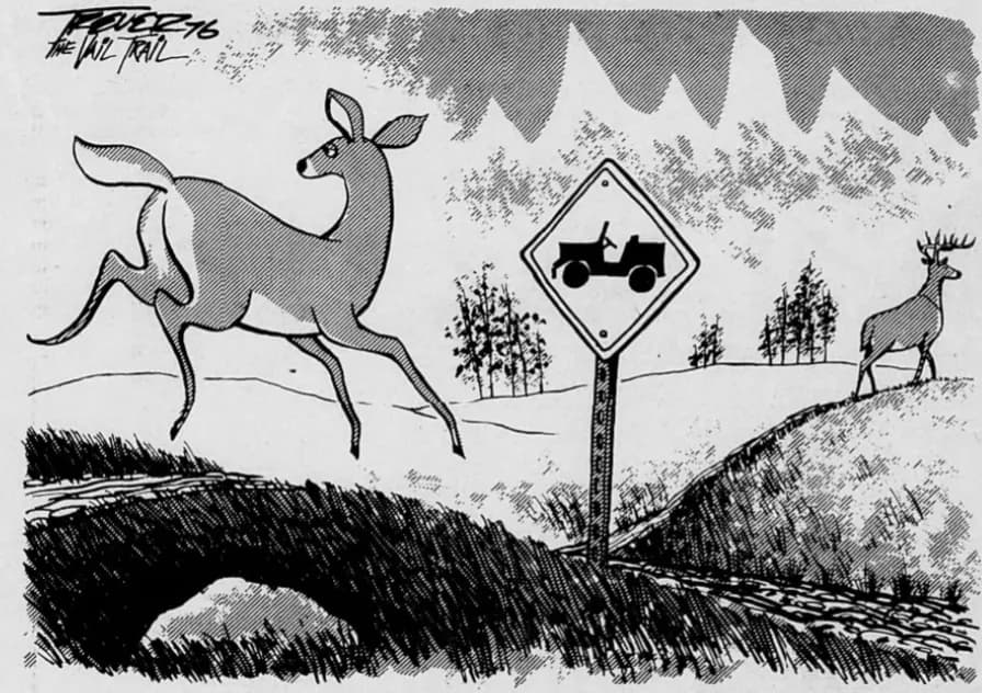 Vail Police Nearly Called in Sheriffs During 1986 July 4 Chaos