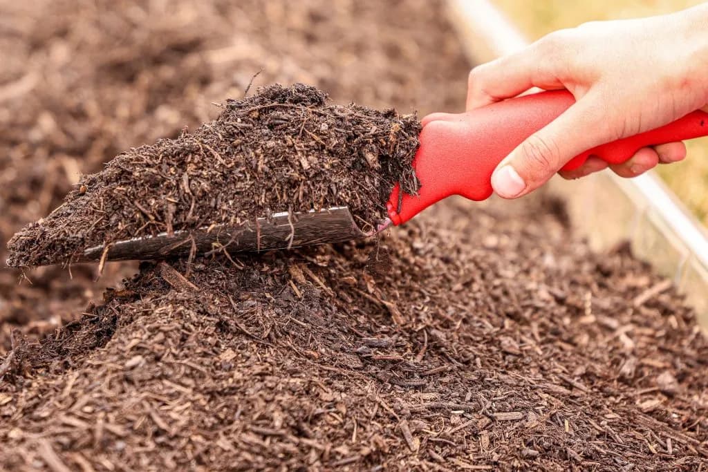 Aspen Hosts Earth Month Events for Sustainability
