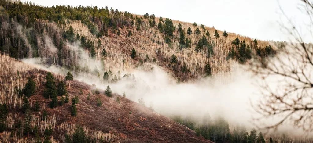 Low Snowpack Drives Severe Wildfires in Western Colorado Forests
