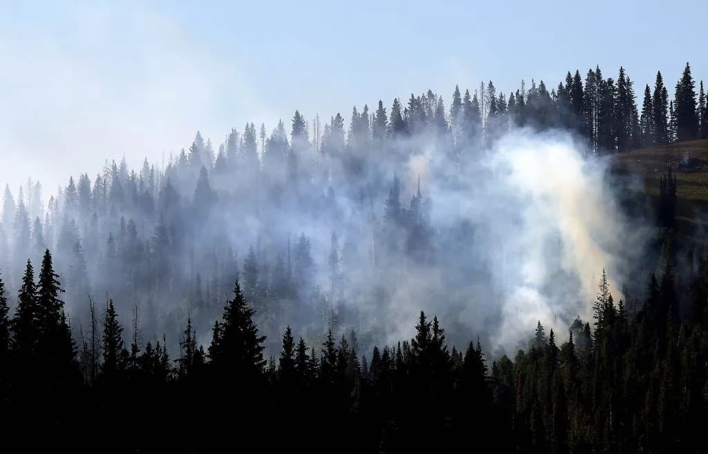 Grand County Firefighters Boost Manpower to Contain Fishhook Fire