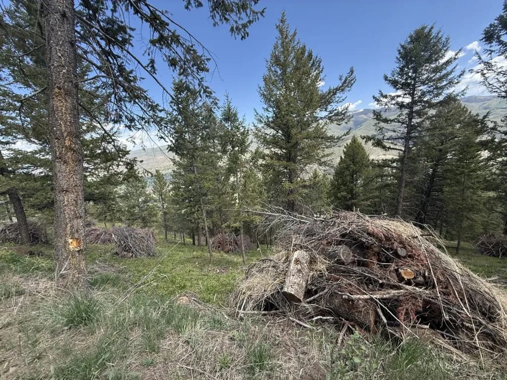 Colorado Prop 137 Keeps $175 Million for Wildfire Mitigation