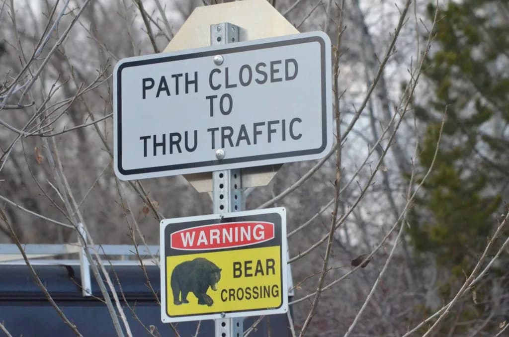 Western Slope accounts for 68 percent of Colorado's 7,770 highway animal deaths
