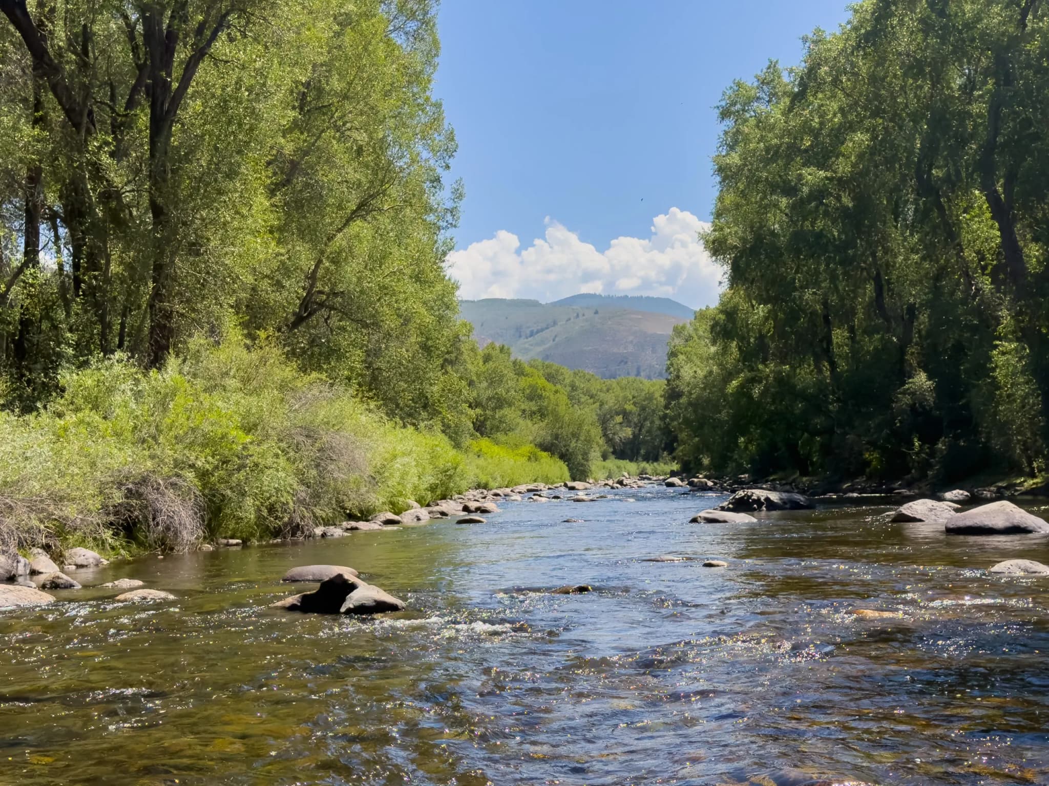 Colorado Closes 635 Miles of Rivers to Save Trout from Heat