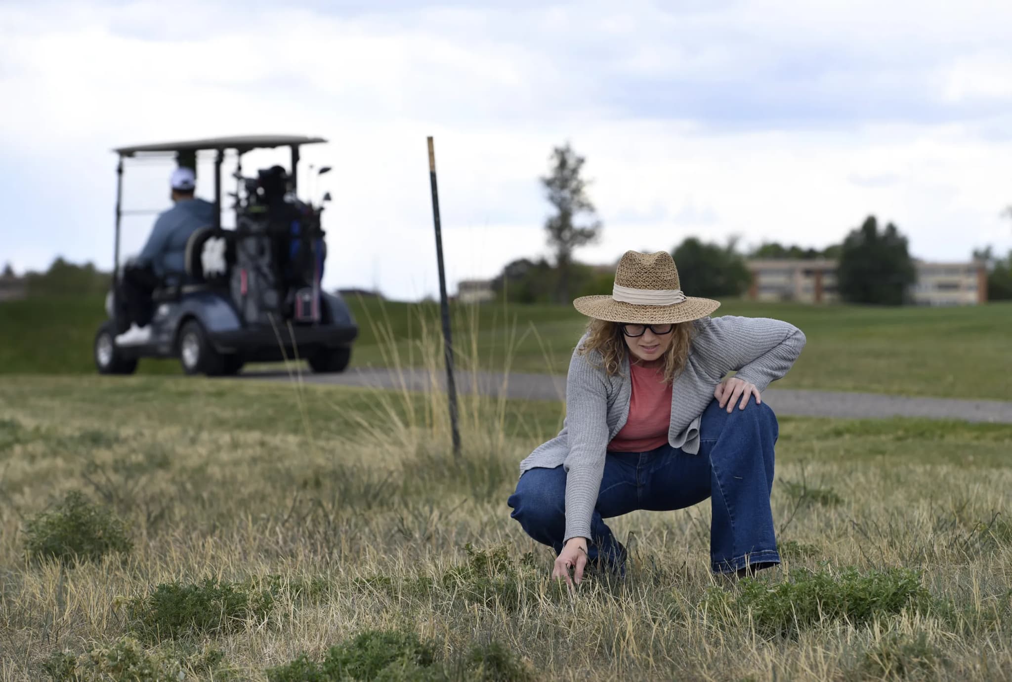 Denver Botanic Gardens Tests Native Habitat at Lowry Golf Course