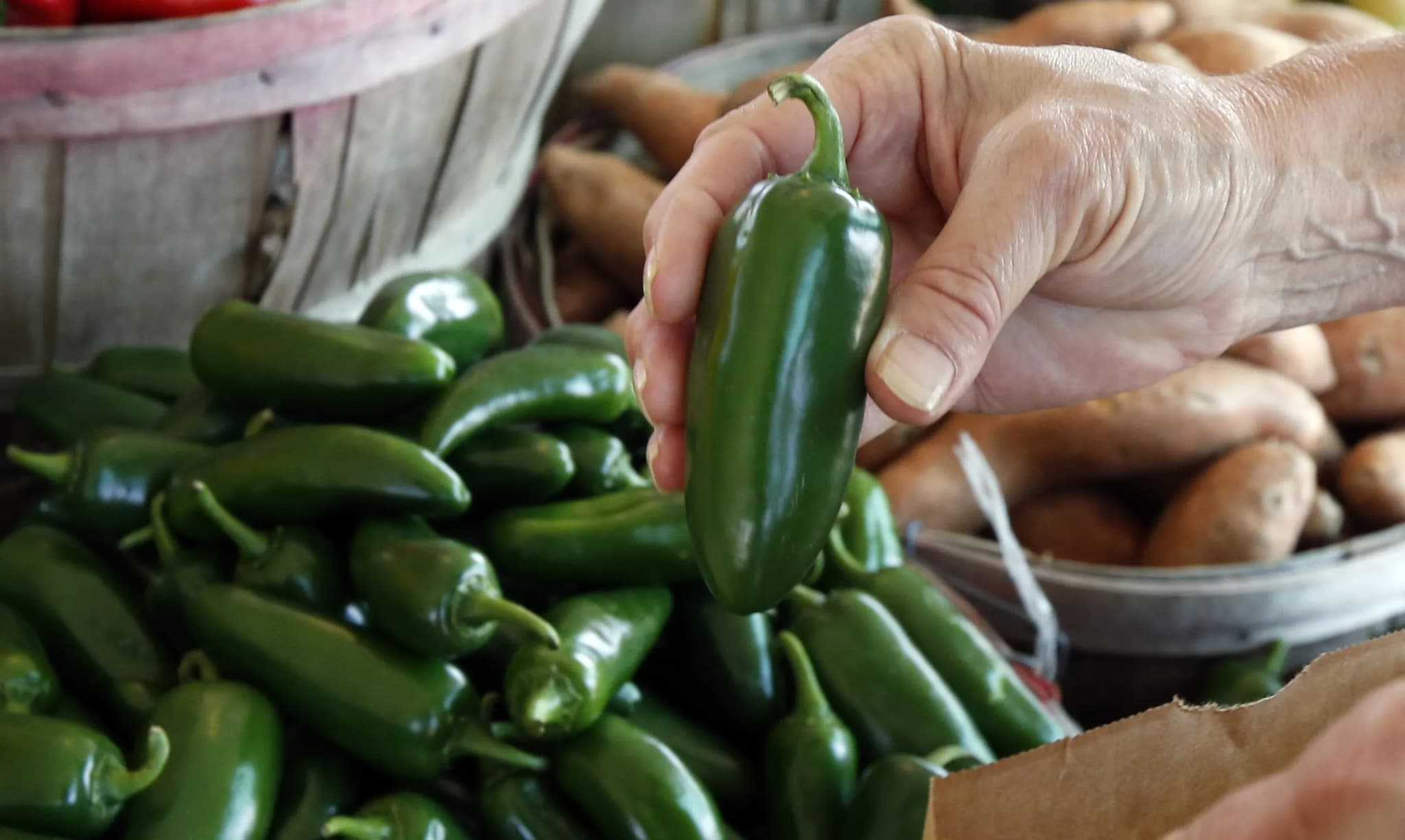 Colorado Health Officials Link Salmonella Outbreak to Chipotle and Qdoba Jalapeños