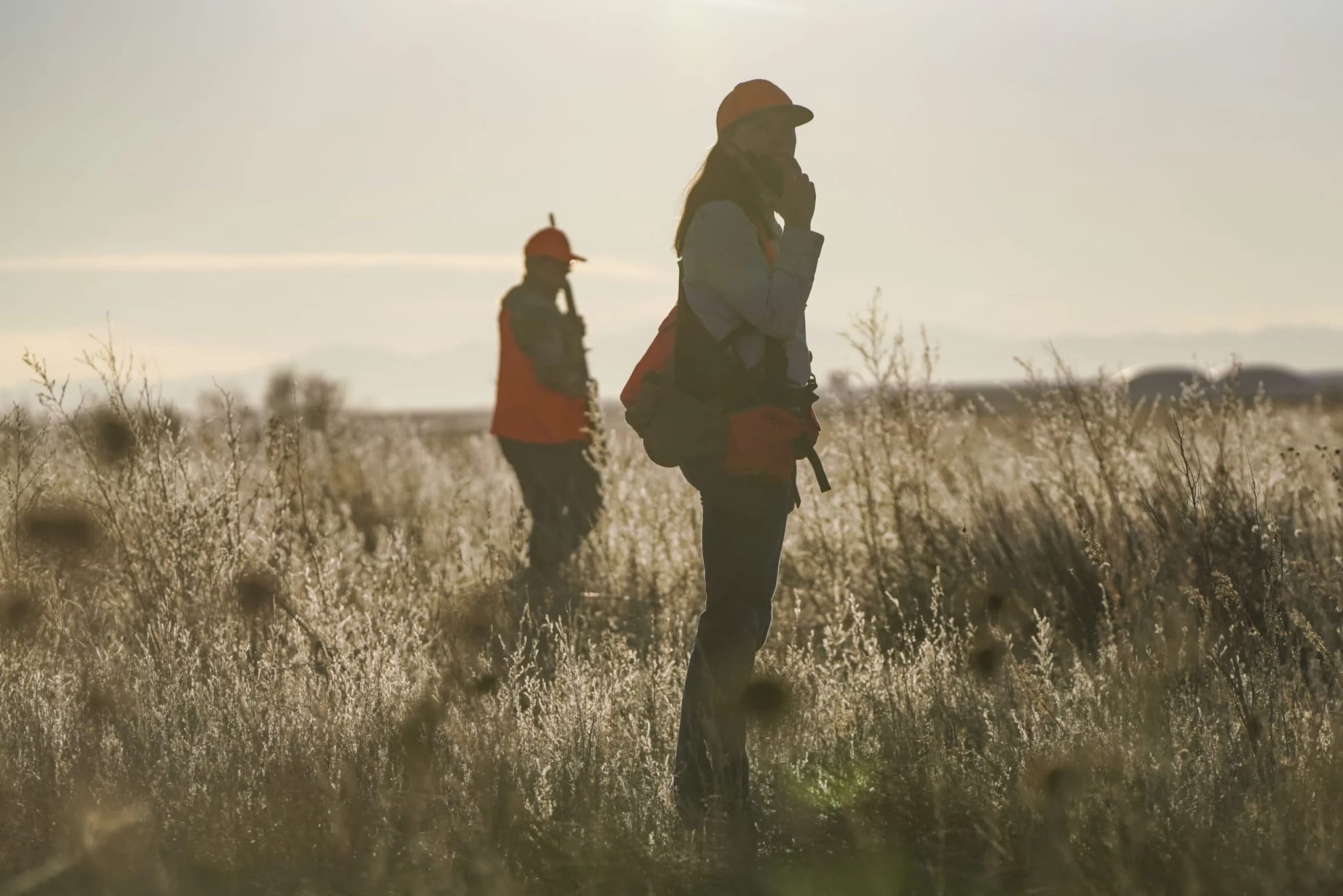 Colorado Wildlife Management Spending Under Scrutiny Amid Commission Changes