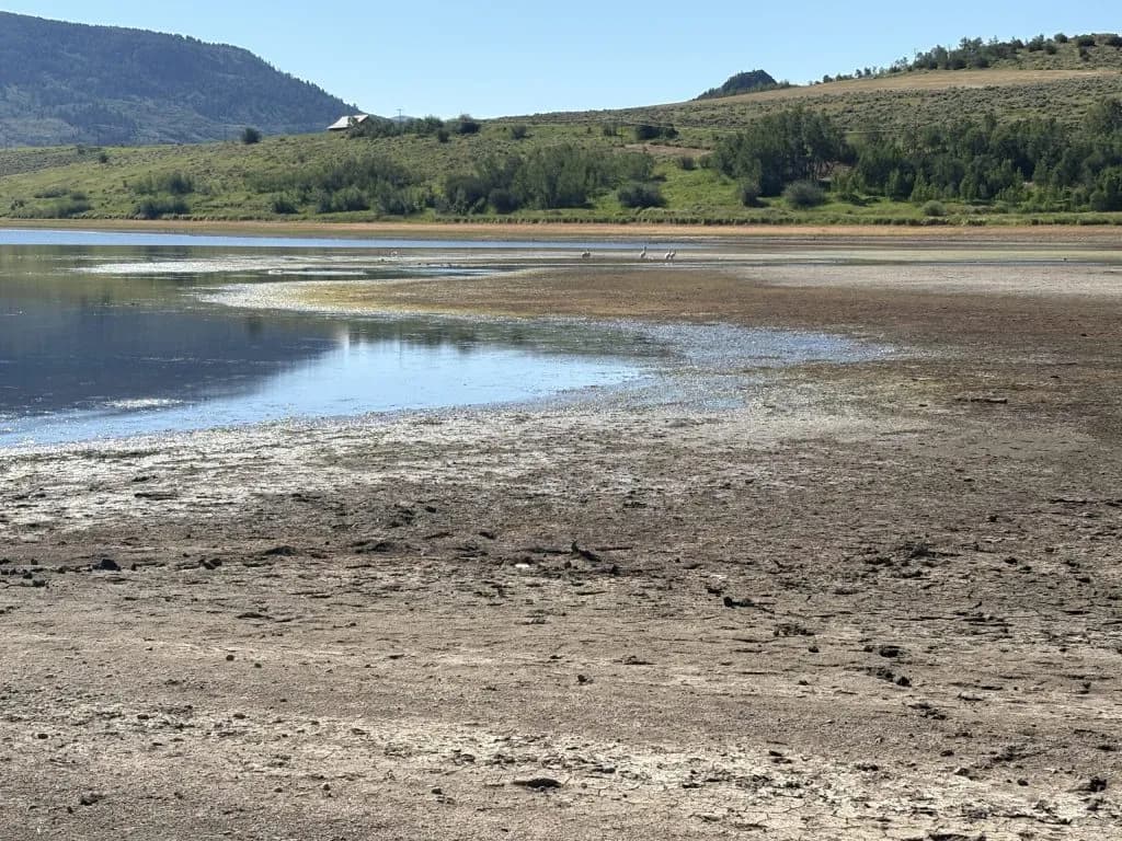 Colorado Water Trust Leases River Rights to Keep Yampa Flowing