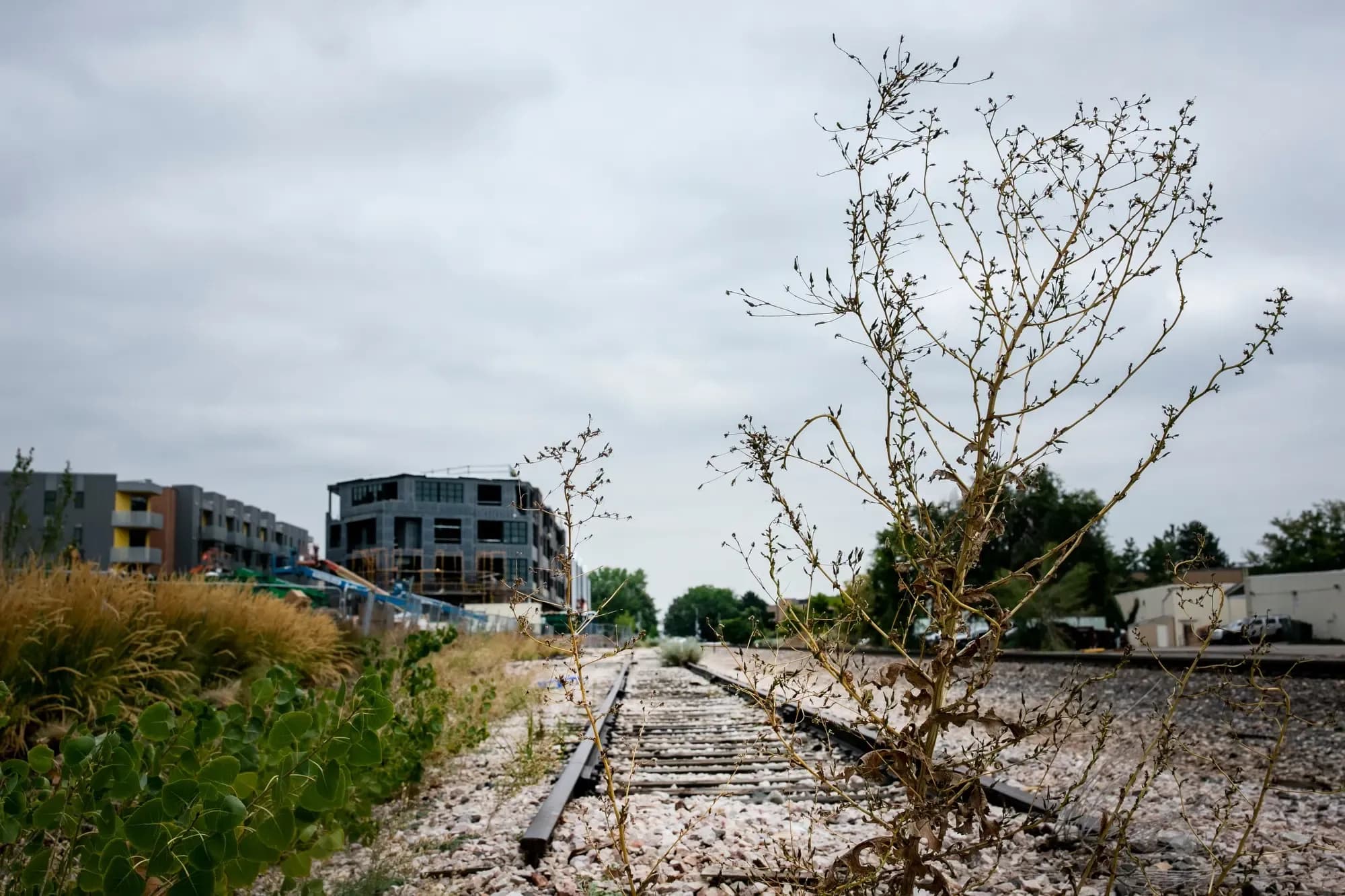 Colorado Secures $333M BNSF Deal for Denver-Fort Collins Passenger Rail