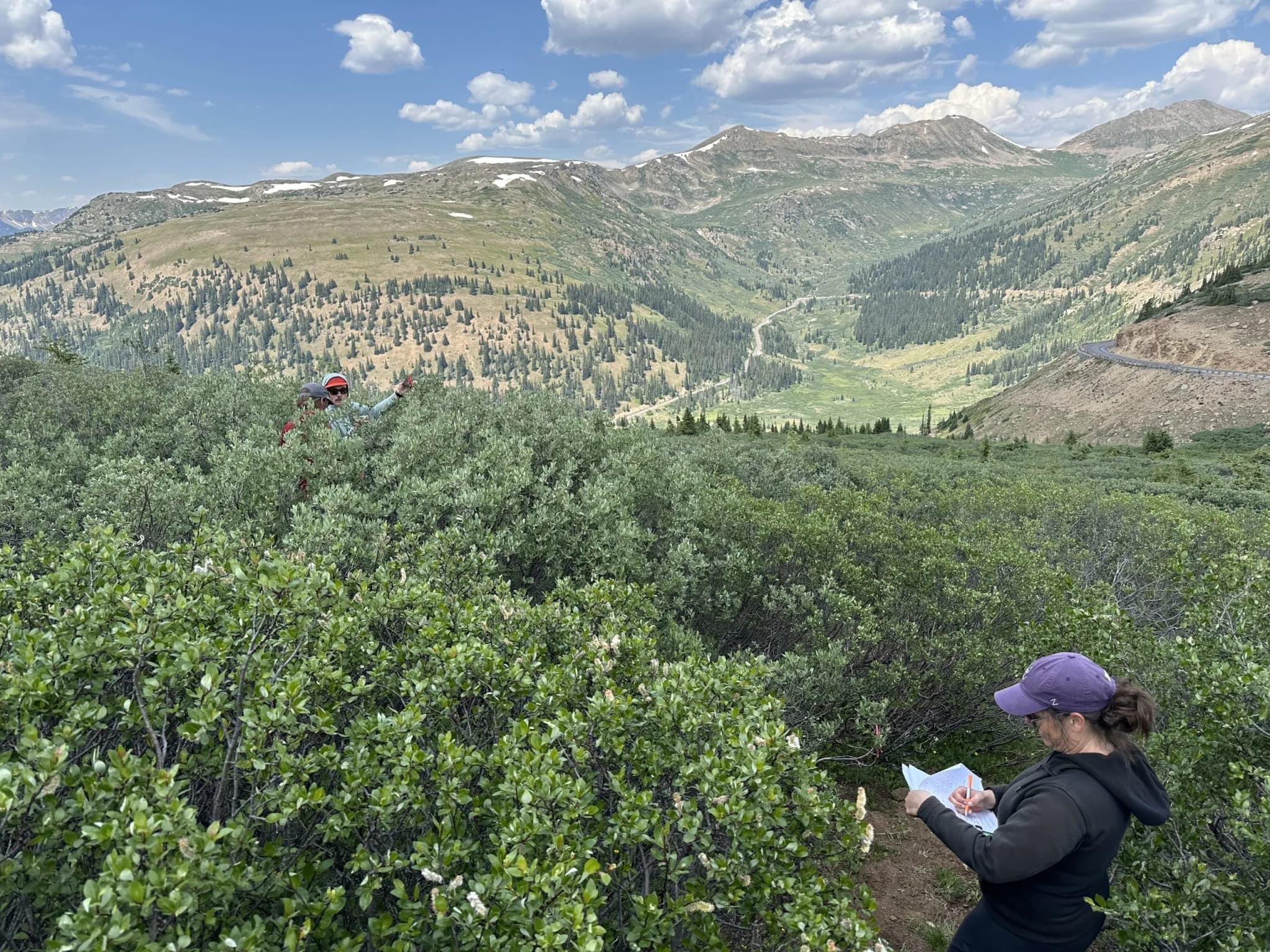 Garfield County Uses Soil Sensors to Predict Wildfire Risk