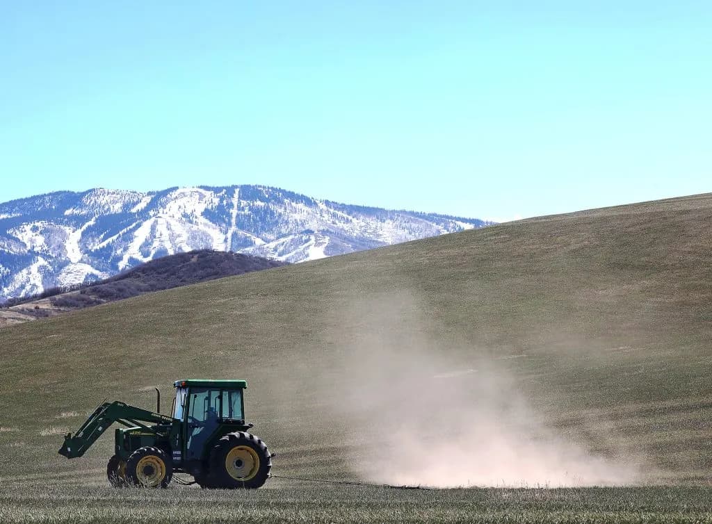 Routt County Ranchers Face Devastating Drought After Unprecedented Winter