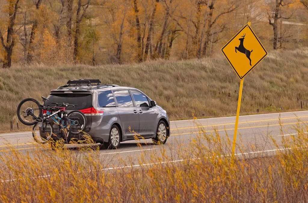 Colorado Drivers Map Wildlife Collisions to Save Crossings Funding