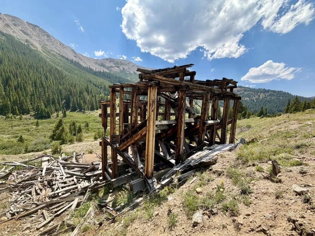Green Gentian Blooms at Independence Ghost Town Amid Drought