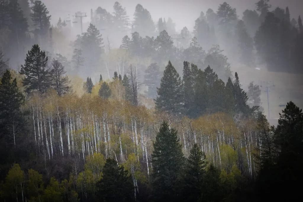 Pitkin County Imposes Stage 1 Fire Restrictions Amid Paradise Creek Blaze