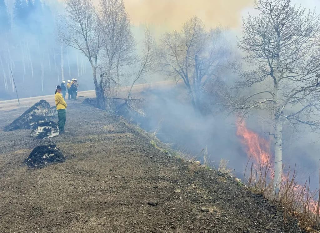 U.S. Forest Service completes 100-acre prescribed burn south of Steamboat