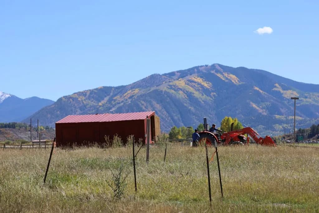 Beavers Restore Two Months of Water at Aspen's Cozy Point Ranch
