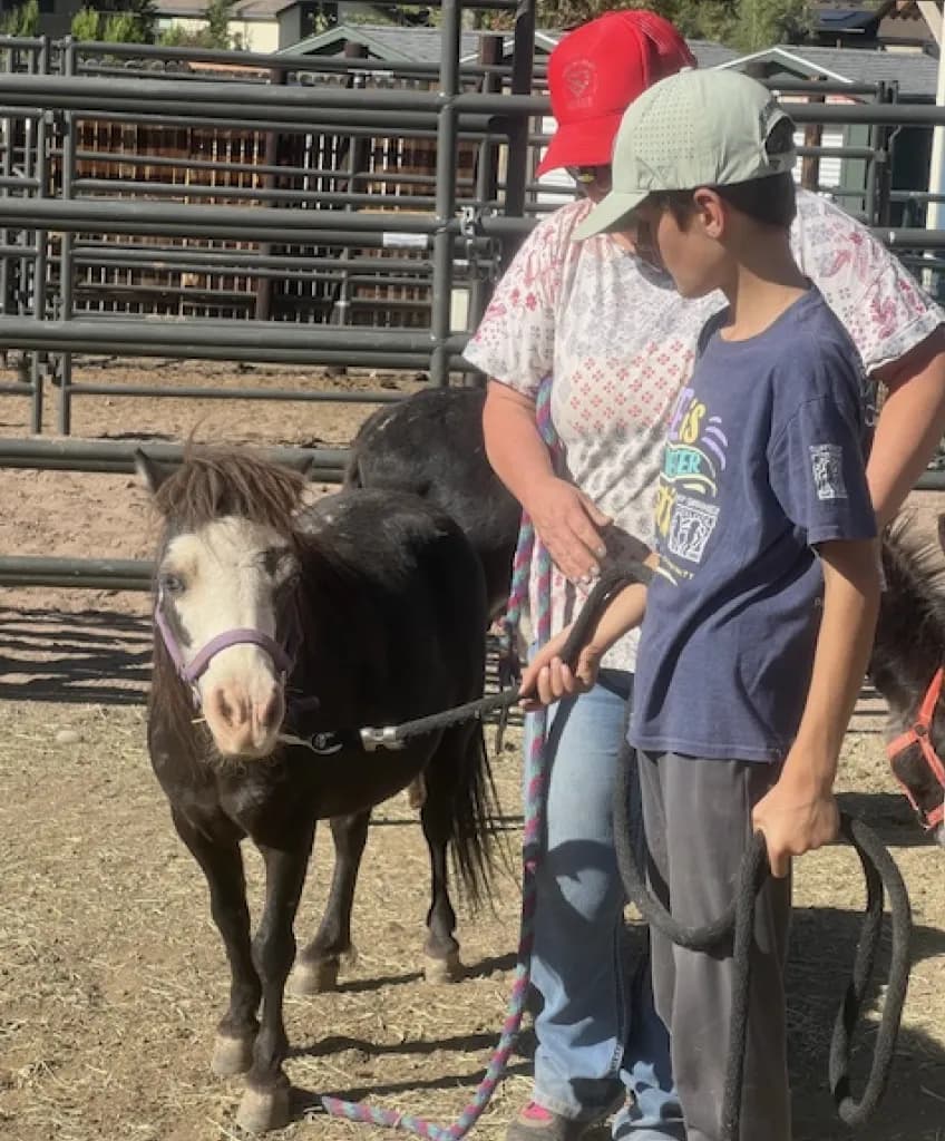 Smiling Goat Ranch Brings Animal Therapy to Snowmass Rodeo Grounds