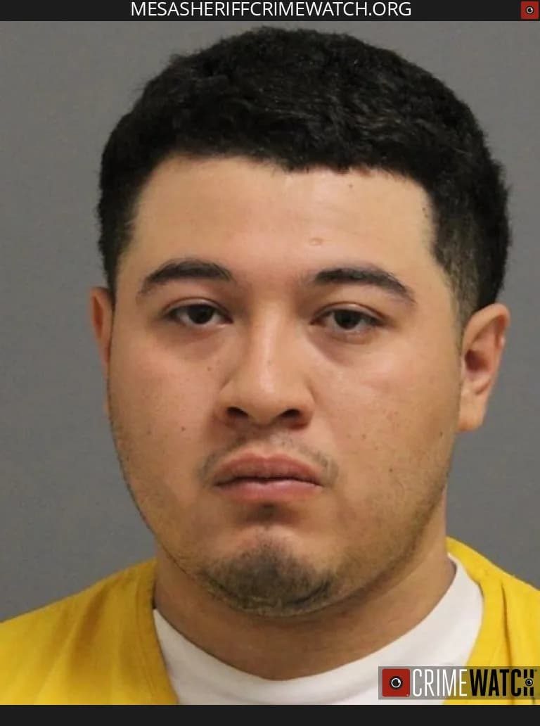 Mesa County Sheriff Tracks Burglar via License Plate Readers