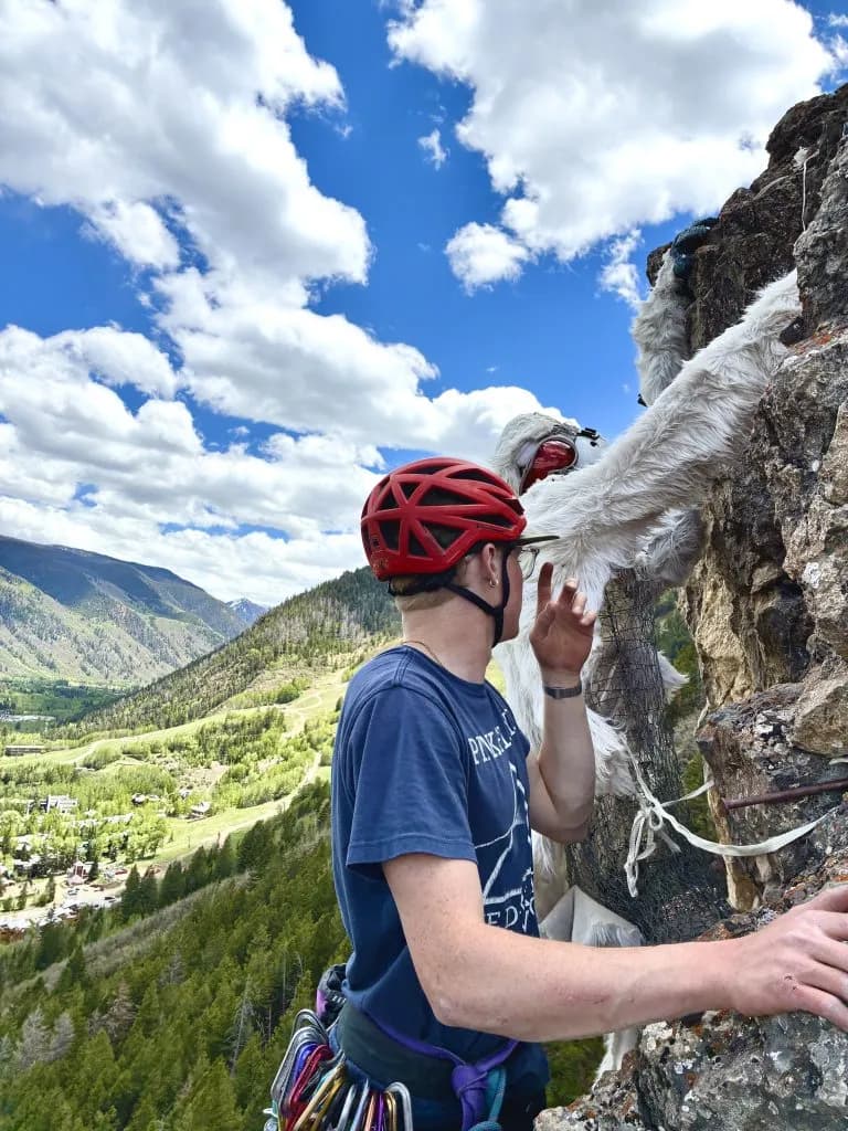 Aspen's Deteriorating Grey Ghost Yeti Climbers Eye Fall Repair