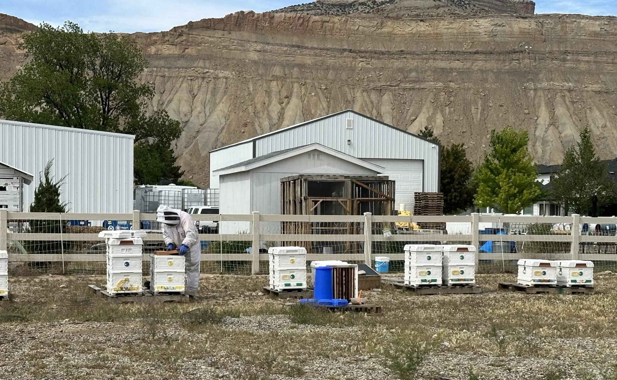 Palisade Veterans Turn Beekeeping Hobby Into Profitable Business