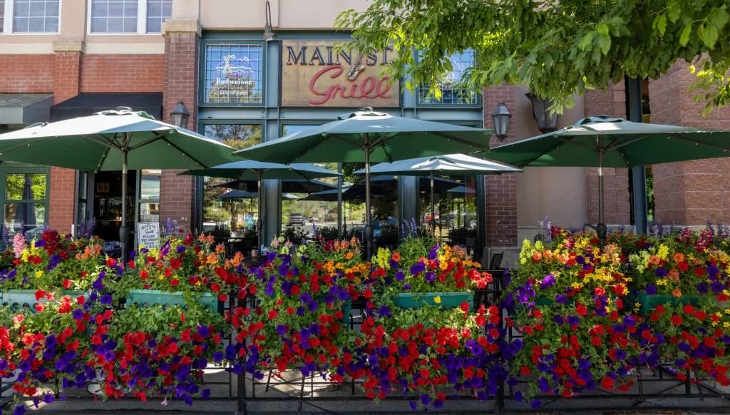 Edwards Main St Grill Delivers Reliable Food and River Views