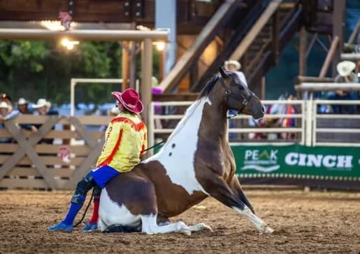 Oklahoma Rodeo Acts Bring Unique Comedy and Trick Roping to Steamboat