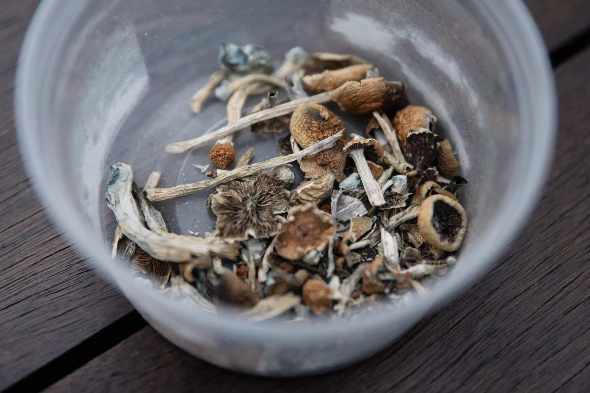 Colorado Sees Rise in Psychedelic Use After Decriminalization