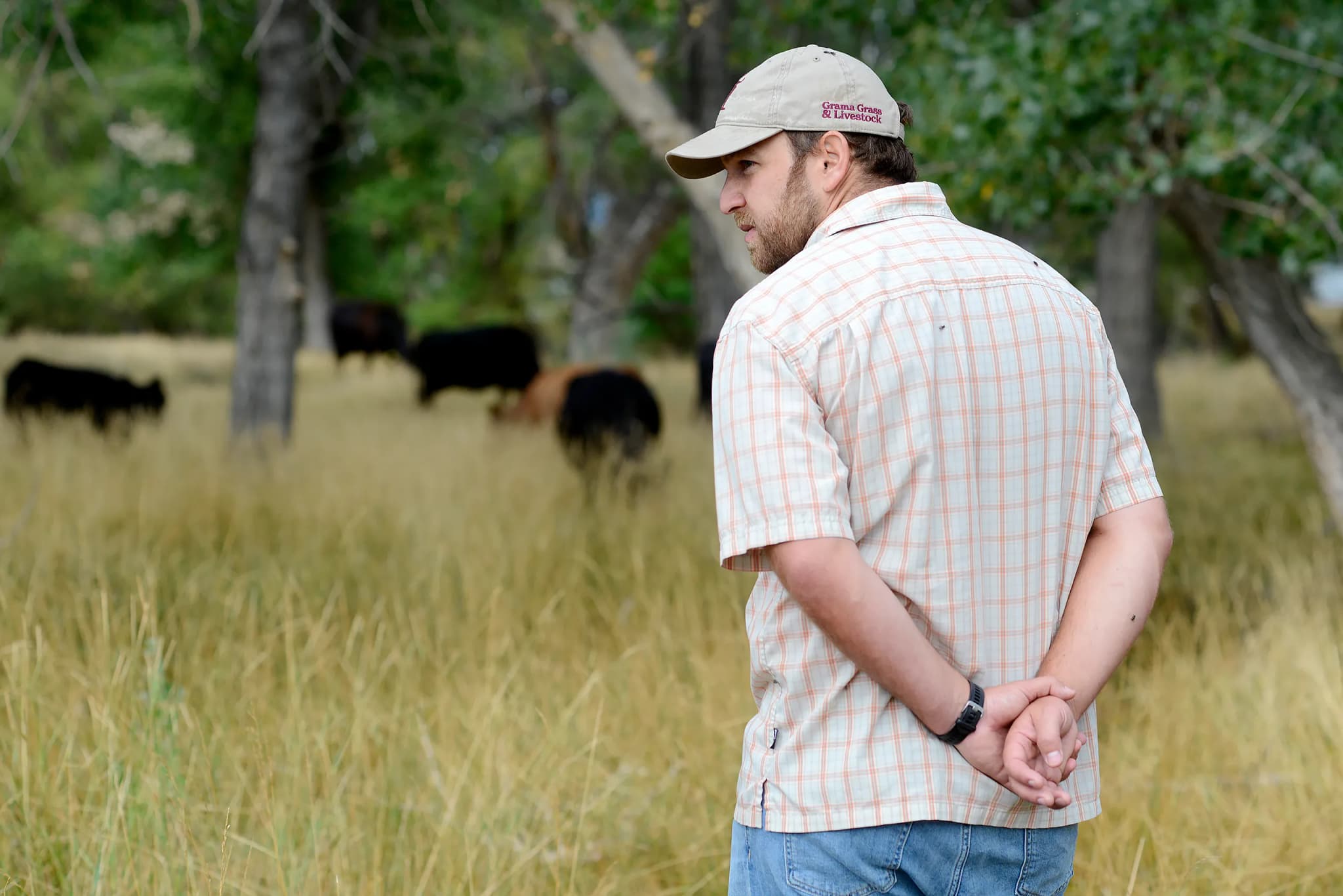 Longmont Rancher Builds Regenerative Beef Empire Amid Import Threats