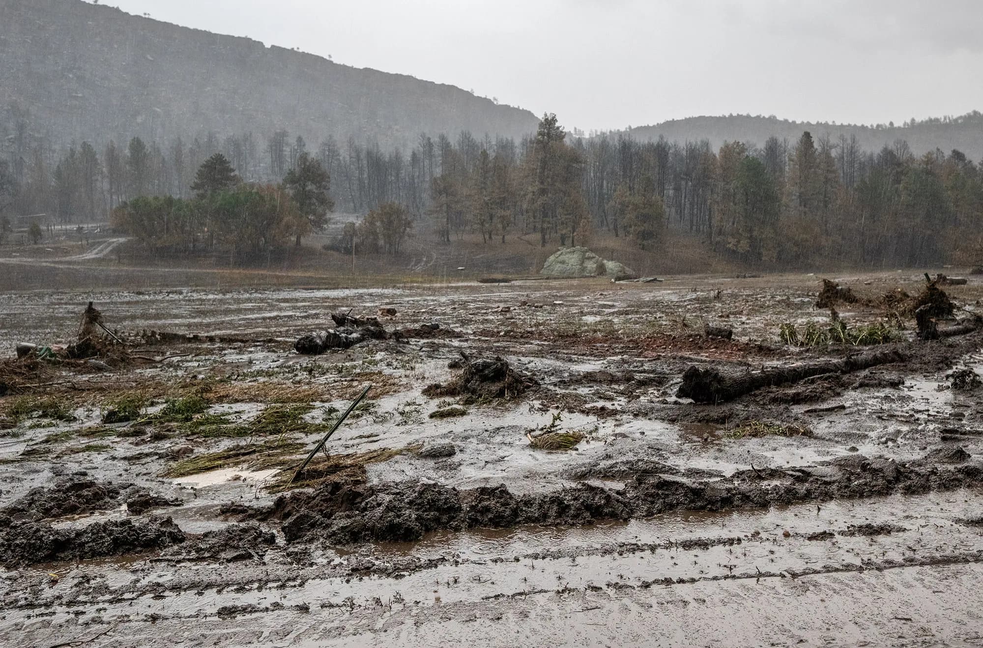 Trump Approves $18M FEMA Aid for Aspen Acres Fire Recovery
