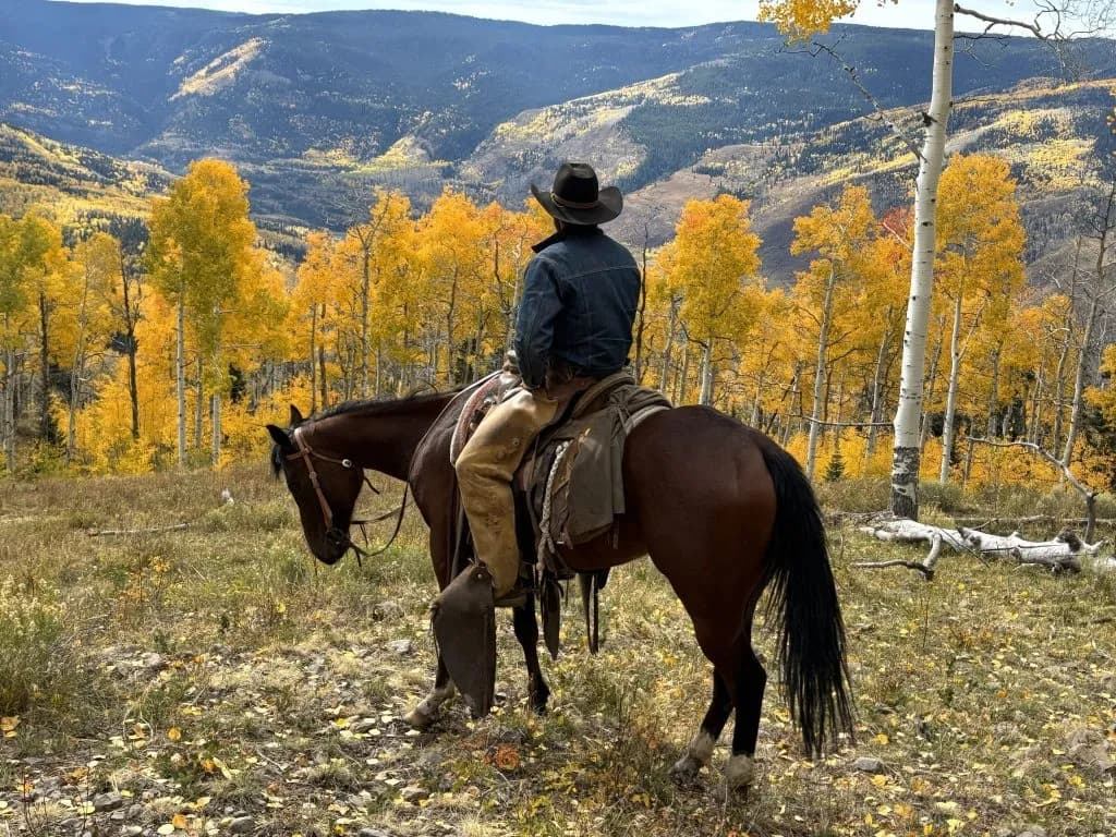 Colorado Doubles Wolf Range Riders to Keep Livestock Producers on Land