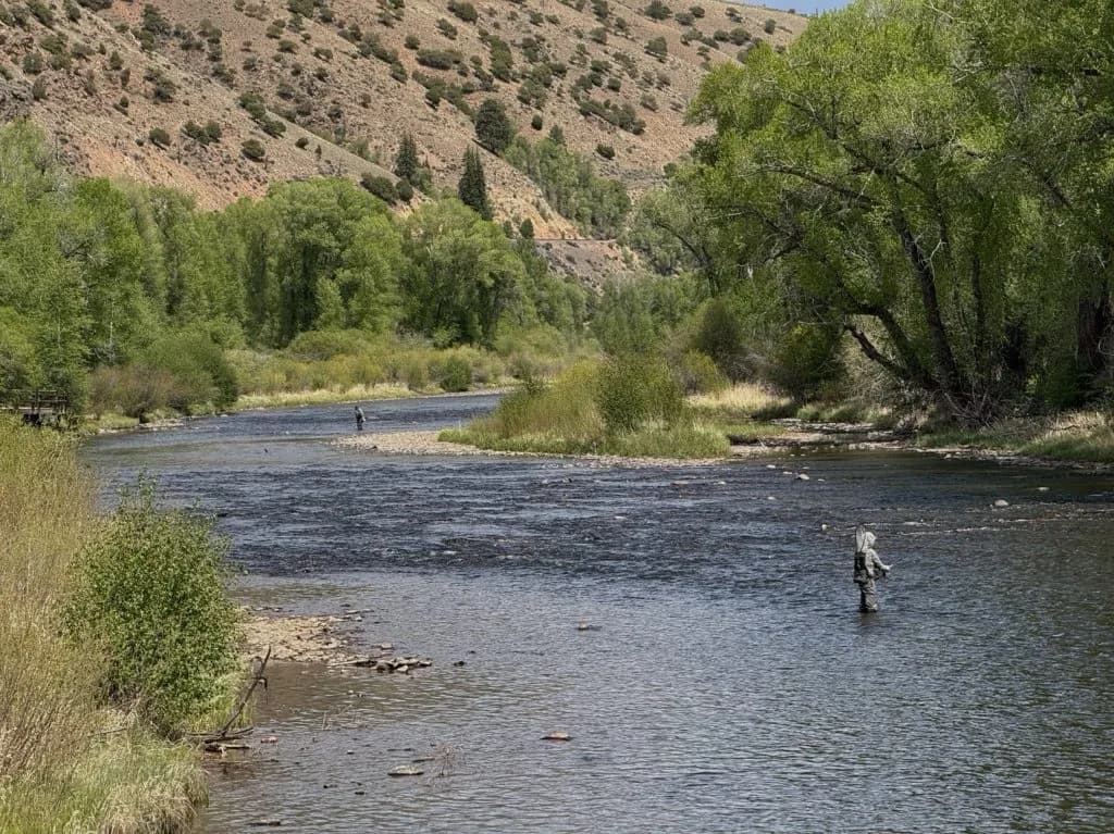 Record Colorado Snowpack Melt Drives Early Trout Spawning