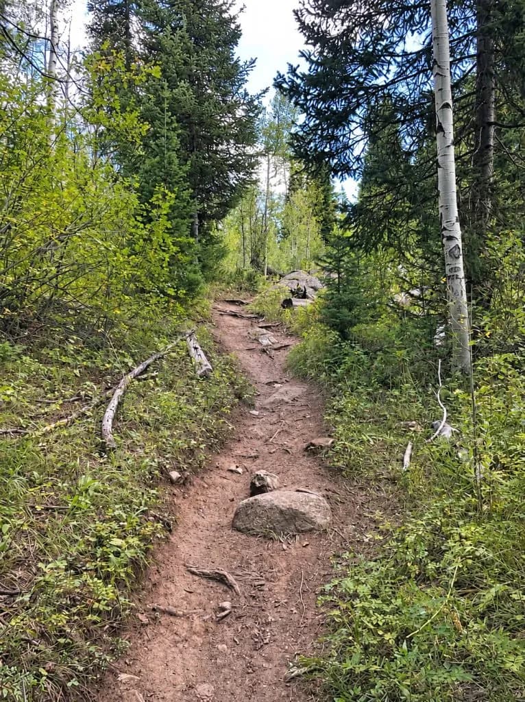 Vail Valley Mountain Bike Association Expands Grouse Trail Parking