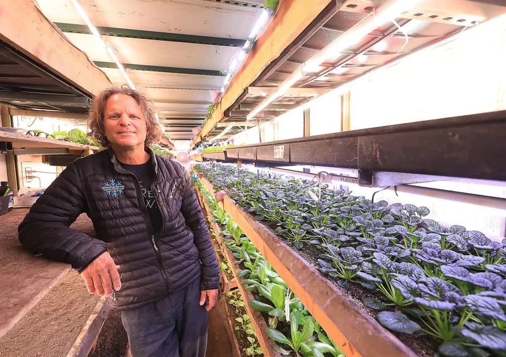 Buffalo Pass Farm Revolutionizes Local Food Production