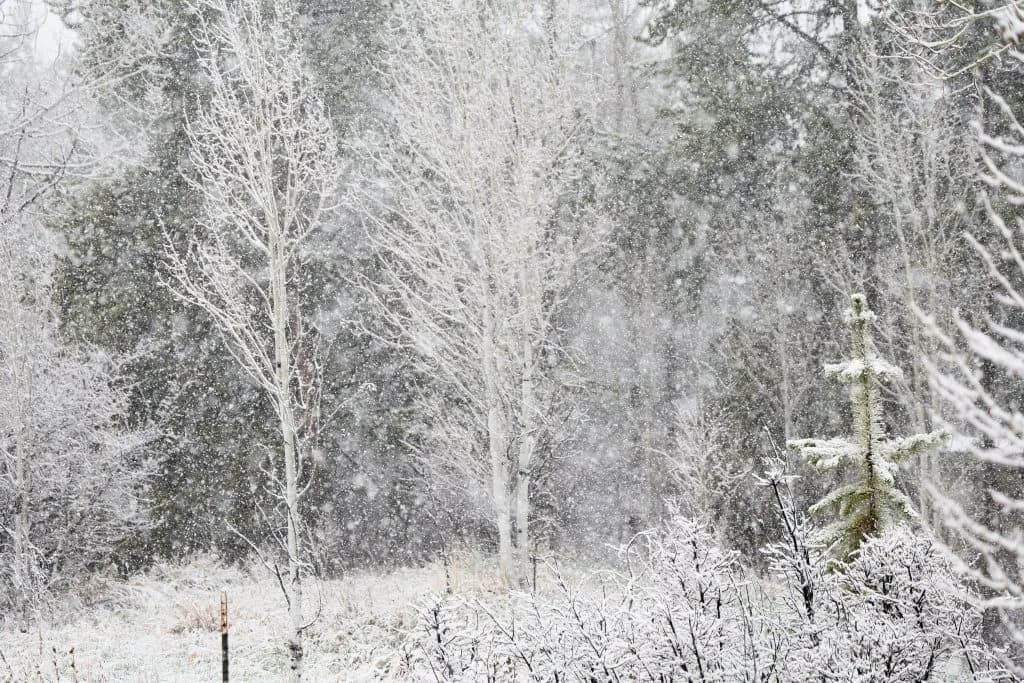 I-70 Pileup and Early Snowpack Melt Threaten Colorado Mountains