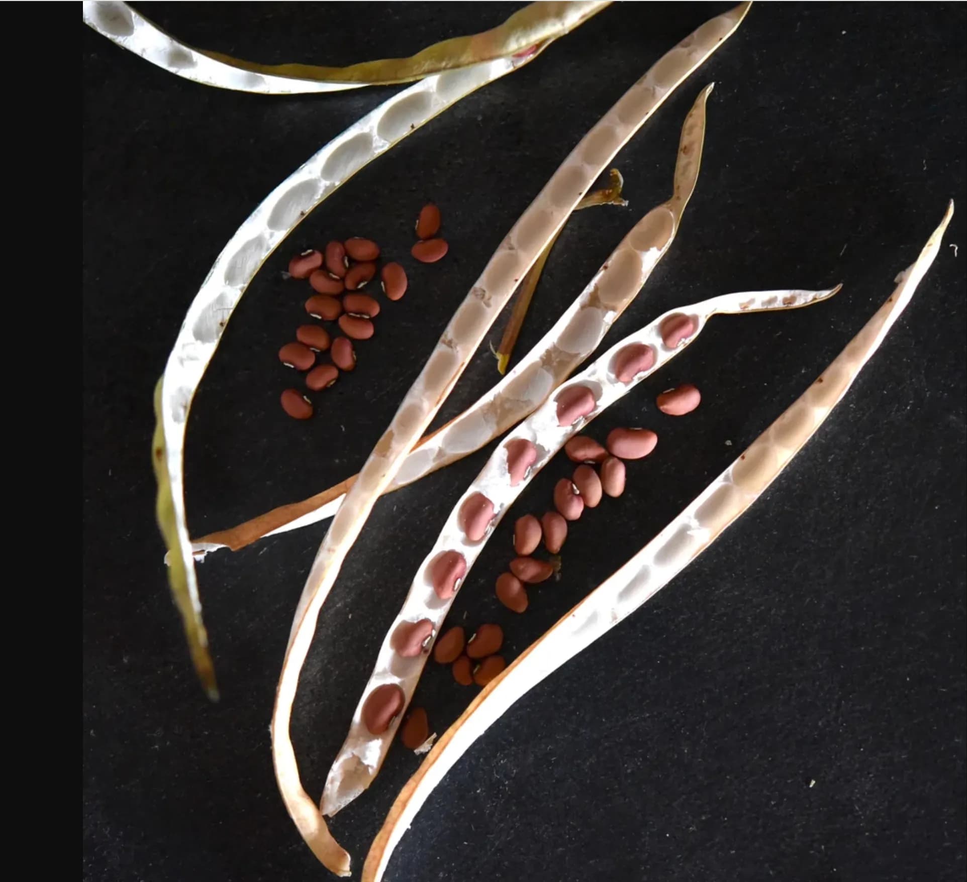 Colorado Sun Launches Series on Low-Water Crops for Drought Resilience