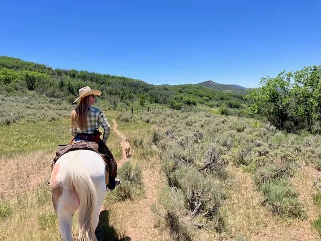 Collbran Resident Fills State Wolf Rider Gap in Mesa County